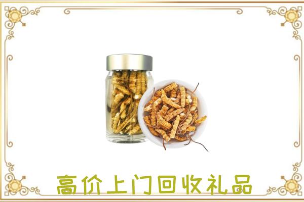 安阳周边回收虫草